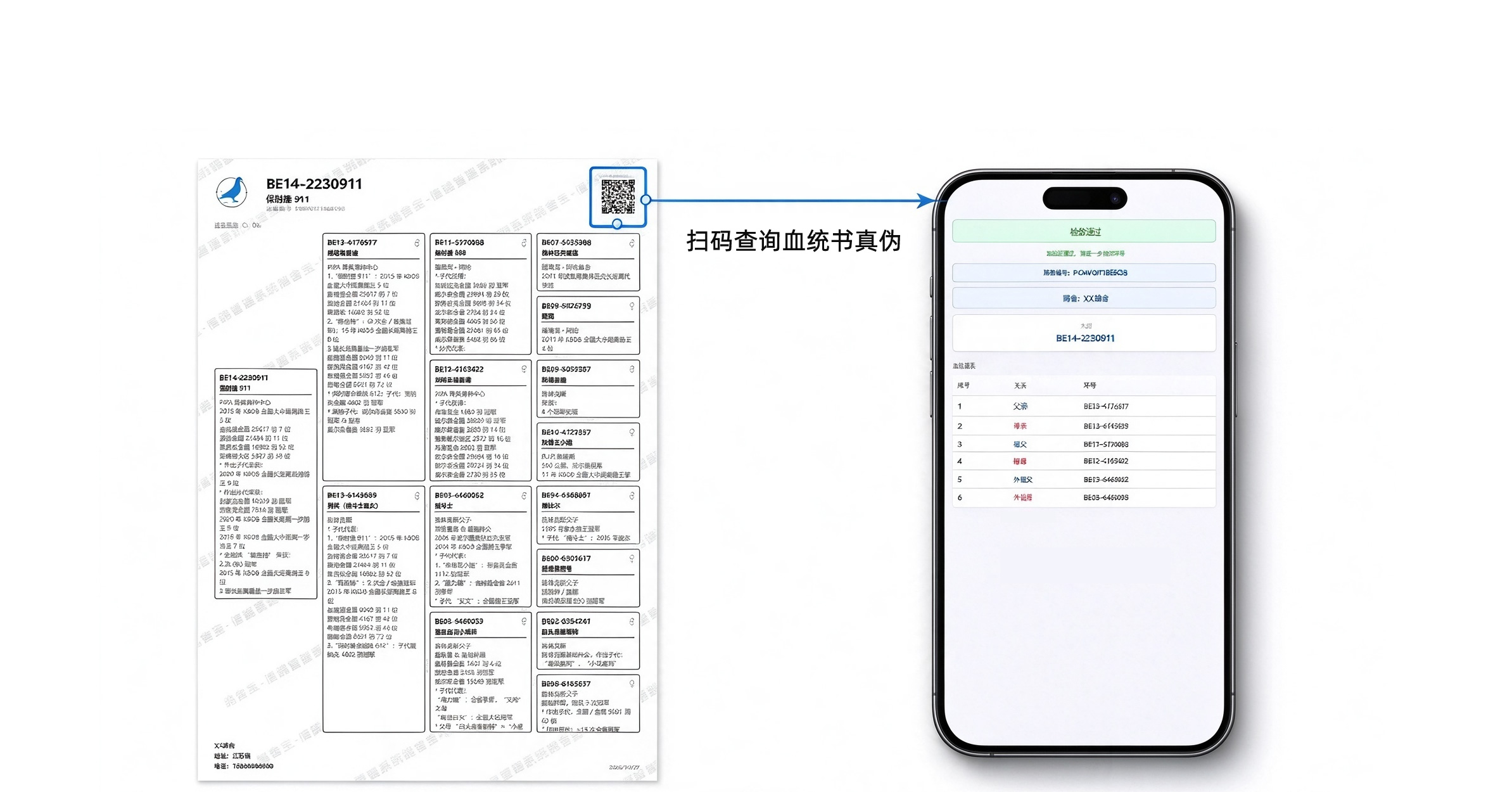 血统书防伪验证